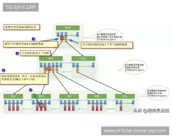 网球赛季关键对阵胜率预测模型应用