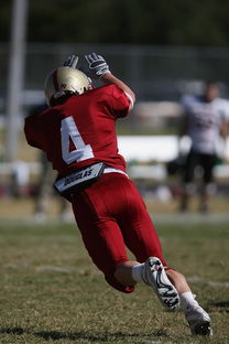 爱游戏网址登录-CBA赛季转会期开放多支球队进行大规模阵容调整，cba转会动态2021